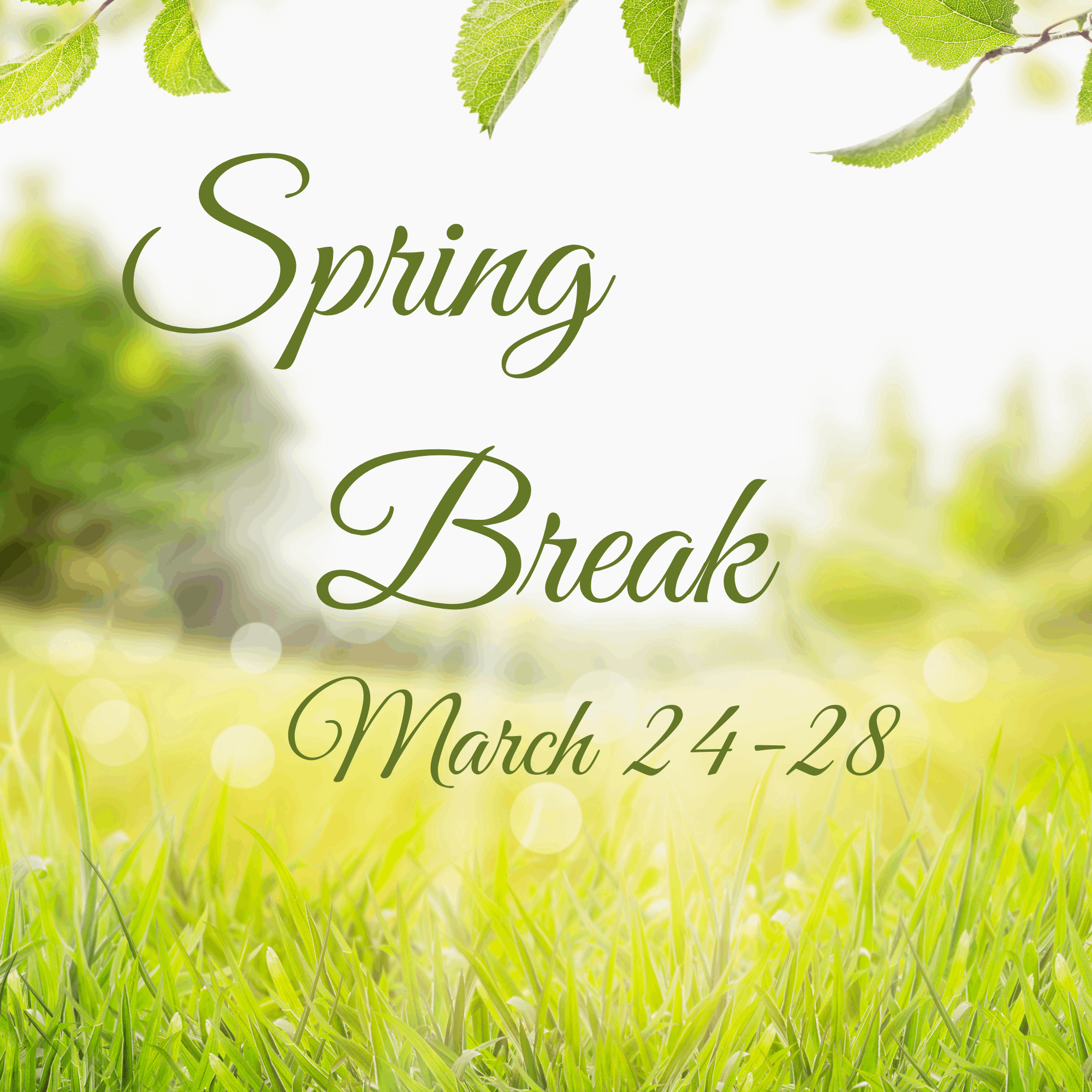 Spring Break